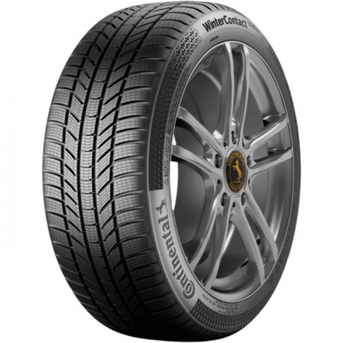 Continental ContiWinterContact TS 870 P 255/40 R21 102T XL FP